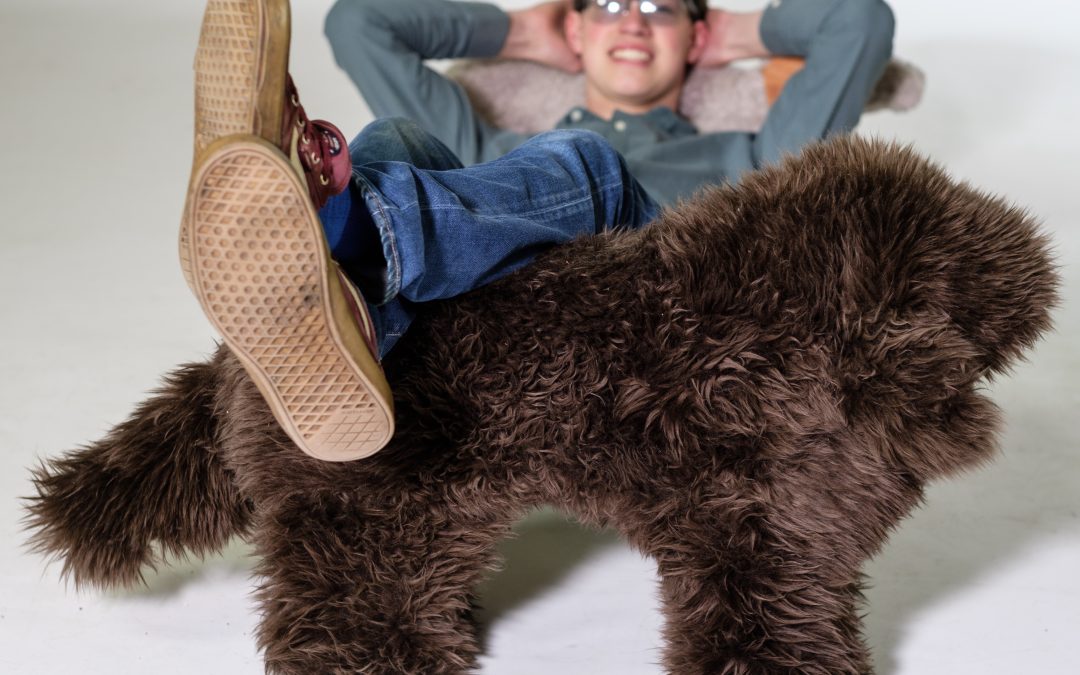A bespoke doggie footstool