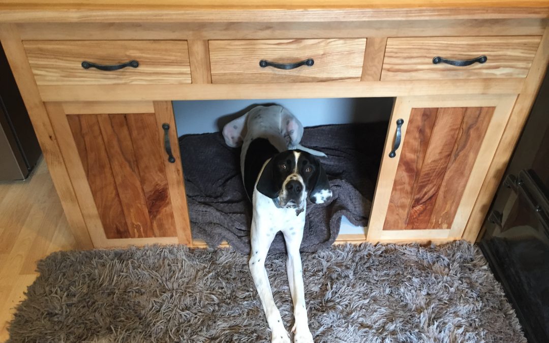 A dog cage for Kobi